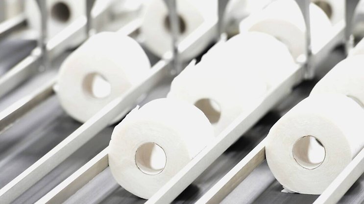 La présence de "polluants éternels" dans le papier hygiénique peut s'expliquer par le fait que certains fabricants ajoutent des substances chimiques lors de la transformation du bois en pâte à papier (image symbolique).