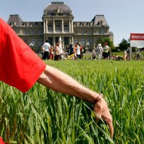 Qualifiées de "nouveaux OGM" par leurs détracteurs, les nouvelles techniques génomiques (NGT) permettent de modifier le génome d'une plante, mais sans introduire d'ADN étranger, contrairement aux OGM de première génération.