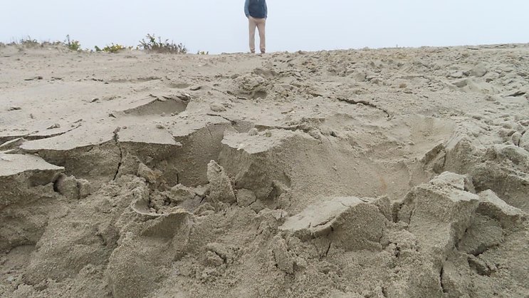 Deux garçons ont été grièvement blessés après avoir été ensevelis par une dune au Danemark. (image symbolique)