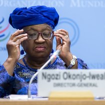 L'Organisation mondiale du commerce (OMC) dirigée par Ngozi Okonjo-Iweala devra probablement se contenter d'une feuille de route minimale selon les dernières discussions entre les membres (archives).