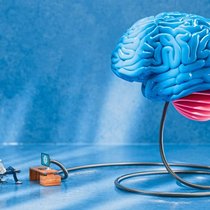 Les utilisateurs de ChatGPT étaient cet été 1,76 milliard dans le monde, selon la société d’études Similarweb. Deux mois après son lancement à la fin novembre 2022, le logiciel gratuit d’intelligence artificielle réunissait déjà 100 millions d’utilisateurs. Atteindre le même chiffre a demandé 78 mois à Google Translate, 30 mois à Instagram et 9 mois à TikTok.