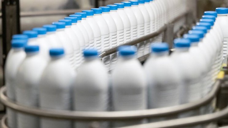 Le groupe lucernois a attribué l'amélioration de sa rentabilité aux progrès opérationnels réalisés dans les activités à l'étranger, à la transformation continue du portefeuille et aux programmes d'efficacité.